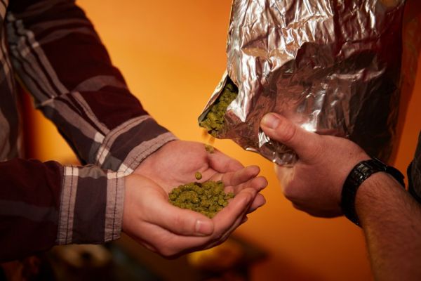 Ingredience pro výrobu domácího piva