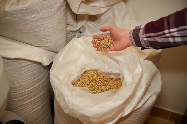 Ingredience pro výrobu domácího piva