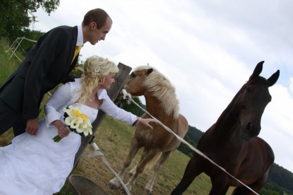 Svatba v Agrocentru Ohrada